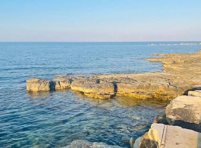 Apartament Toma Bisceglie